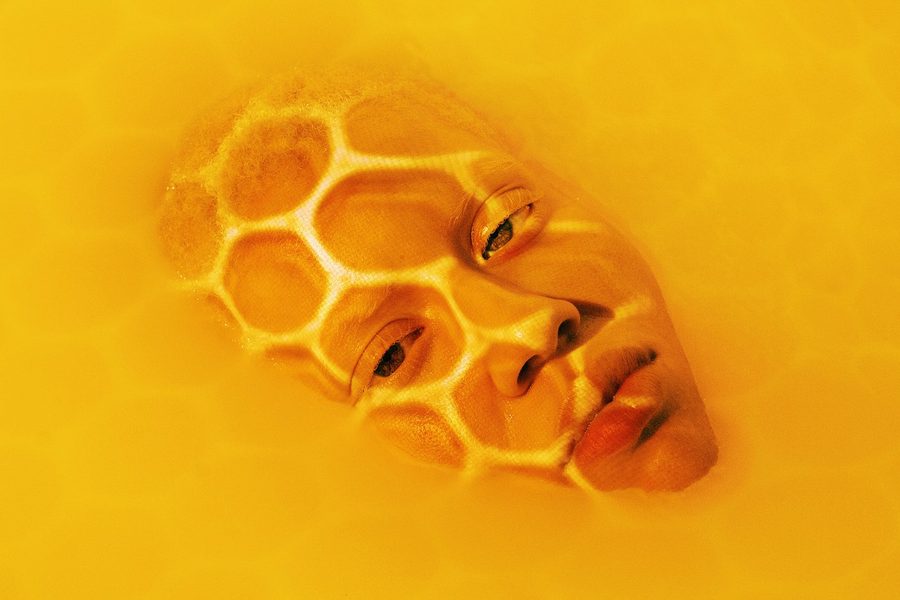 Honey Bee