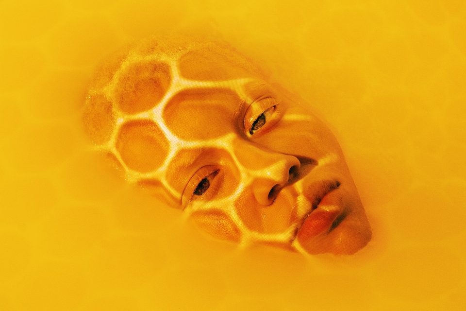 Honey Bee